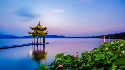 pagode au bord du lac au japon avec fleurs de lotus détente