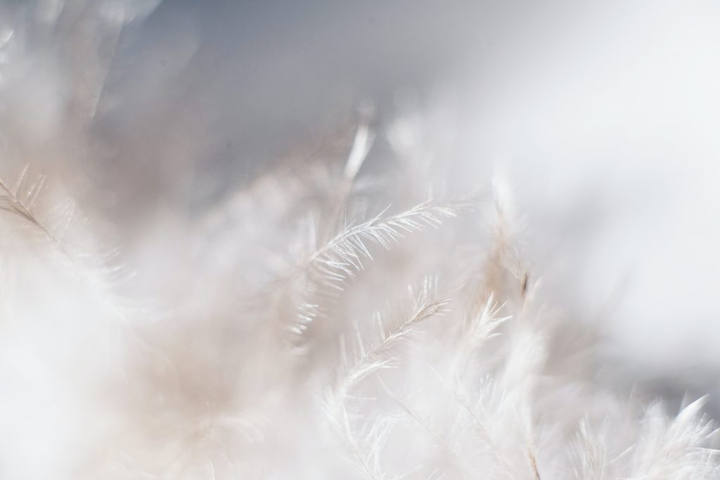 plume qui apportent la douceur et le réconfort et permet la détente comme le massage zone qui améliore le sommeil et équilibre le système nerveux